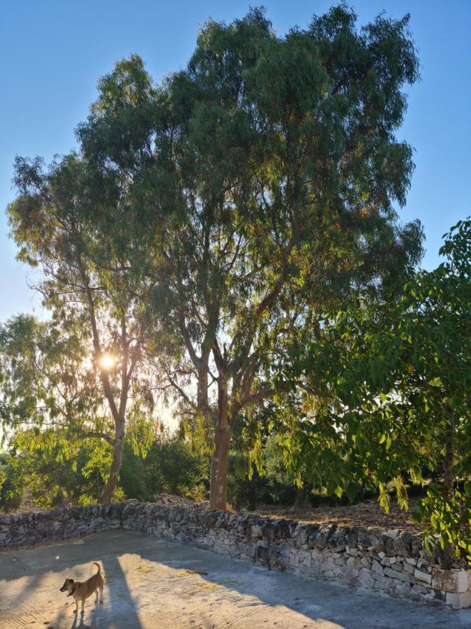 Trulli L'Utopia Di Anny Trulli Anny'S Utopia Locorotondo Extérieur photo